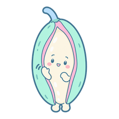 くるんアケビのやさしい毎日