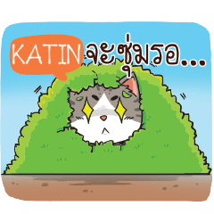 KATIN cheeky cat e