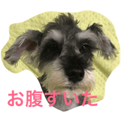 なな。みみ。スタンプ