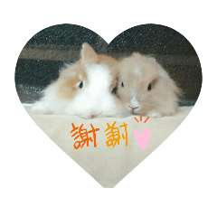 Jiajia_20200101210426