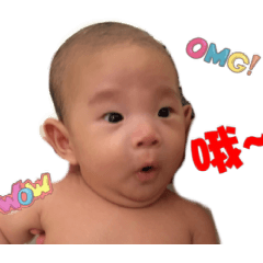 Harvey-Daily articles