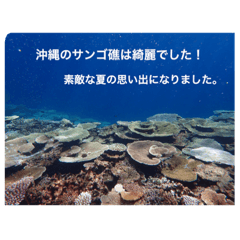 沖縄の海風景絵葉書と海中生物の日常会話3