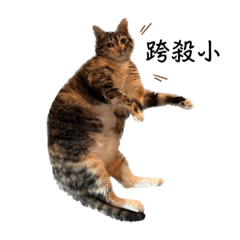 Fiona_20230905220935