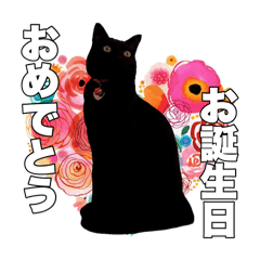 黒猫ジジくんの日常会話【改訂版】