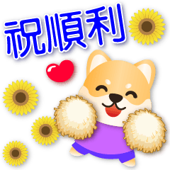 Cute Shiba --Blessings-happy life