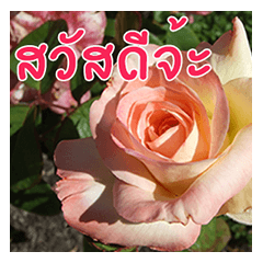 Flowers I love You 2