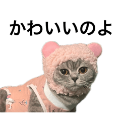 ねこのがおちゃん2