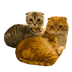 ニケとラグのほんわかスタンプ