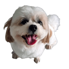 Warattaya_20250906190657