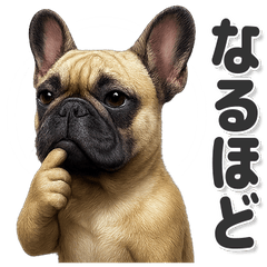 毎日使える！フレンチ・ブルドッグ