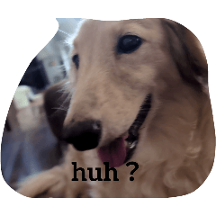 グリンピースイズマロン