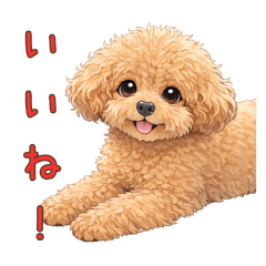 トイプーななこ３