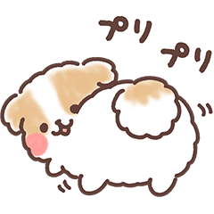 ふわふわシーズー 3歳児