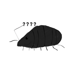 Woodlouse