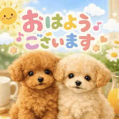 飛び出す♡トイプー基本の挨拶