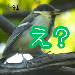 ＋91 自然と遊ぶ野鳥スタンプ Vol.1＋