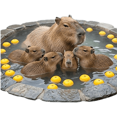 子カピバラ　実写