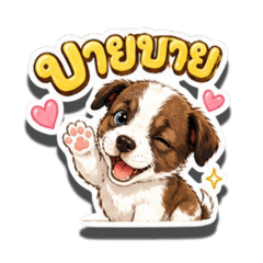 Kwanchanok_20260425122259