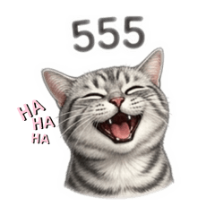 Talk with fat_20260501144550
