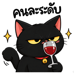 Blackie Grumpy Cat