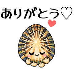'OPIHI - 今日も、ぴったり