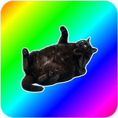 【ミックス】ムチムチ黒猫