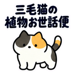 三毛猫の植物お世話便