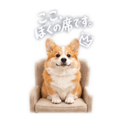 コーギーの…