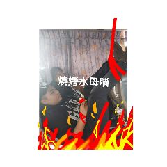 Jellyfish_20191127122332