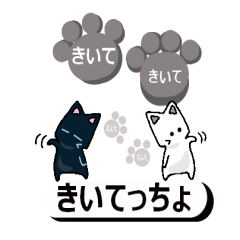 猫と肉球２