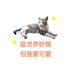 shower_20201113231005