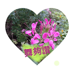 chumei_20220220220403