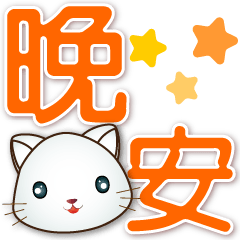 Cute White Cat-Practical Daily  Phrases