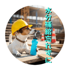 小型犬ジャックラッセルテリア現場編