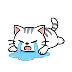 A normal cat sticker Taiwan ver.