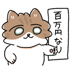 我が家の猫メルちゃん4