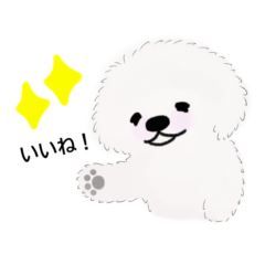 Happy! ココスタ rev.