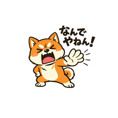 関西弁の柴犬！シュールなツッコミ