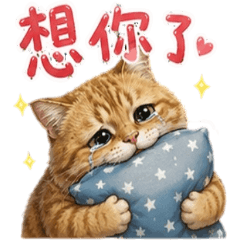Orange Cat: Sassy & Spoiled Lover [ZiFu]