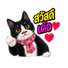 Isan Cat Gang