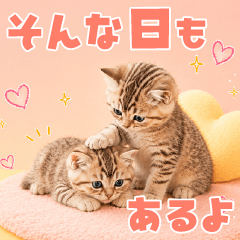 とびだす♡ふんわりねこの励まし言葉