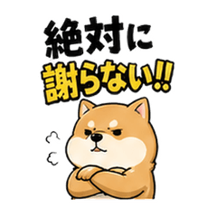絶対に謝らない頑固な人や動物達！ごめん