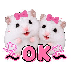 日常で使いやすい『動く③』うちのハムハム