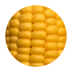 CORN STICKERS.