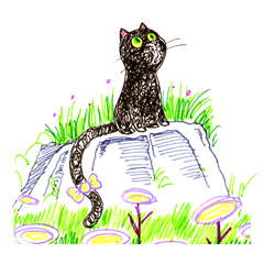 OranGigi~Lovely Cat Orange