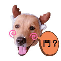 Yu Ching_20200619013512