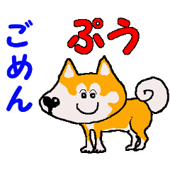 日本 柴犬 4