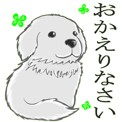 THE ふわふわ DOG