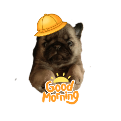 catty_20210720085521