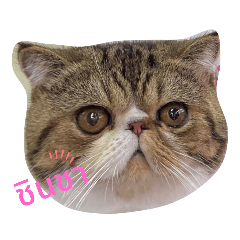 Julius_20211021131430